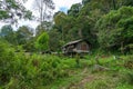 View of Penan huts in Bario.