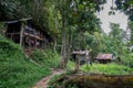 View of Penan huts in Bario.