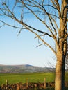 View of Pendle Hill in Burnley Lancashire in winter