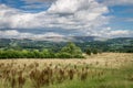 A view of Pendle Hill and gathering rain clouds.