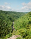 View from Pendleton Point, at Blackwater Falls State Park in Davis, West Virginia Royalty Free Stock Photo