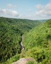 View from Pendleton Point, at Blackwater Falls State Park in Davis, West Virginia Royalty Free Stock Photo