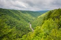 View from Pendleton Point, in Blackwater Falls State Park, West Virginia Royalty Free Stock Photo