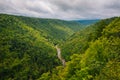 View from Pendleton Point, in Blackwater Falls State Park, West Virginia Royalty Free Stock Photo