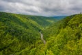 View from Pendleton Point, in Blackwater Falls State Park, West Virginia Royalty Free Stock Photo