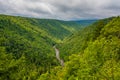 View from Pendleton Point, in Blackwater Falls State Park, West Virginia Royalty Free Stock Photo