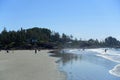 A view of people at Chesterman Beach with people swimming and surfing and enjoying the sun in Tofino, British Columbia, Canada.