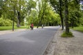 View of people riding bicycles, trees