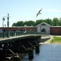 view of the Peter and Paul fortress from the Ioannovsky bridge with a soaring Seagull in the foreground, Kronverksky canal