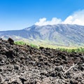 View of petrified lava on slope of Etna volcano