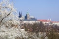 View from Petrin to Prague castle at spring