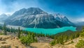 View of Peyto lake, Banff national park, Alberta, Canada Royalty Free Stock Photo