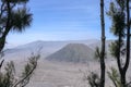 View of photogenic Batok volcano and Bromo crater through tropical vegetation. Picturesque valley of volcanic caldera with volcano Royalty Free Stock Photo