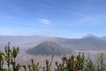 View of photogenic Batok volcano and Bromo crater through tropical vegetation. Picturesque valley of volcanic caldera with volcano Royalty Free Stock Photo