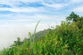 View from Phu Thap Boek Mountain, with grass and small flowers in front and blue sky with cloud cover in the background Royalty Free Stock Photo