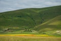 Pian Grande during the famous flowering of Castelluccio di Norcia in Umbria Italy Royalty Free Stock Photo