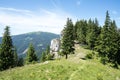 View of Piatra Soimului Peak Hawk`s stone in Rarau mountains,  Bucovina,  Romania Royalty Free Stock Photo