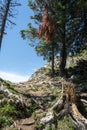 View of Piatra Soimului Peak Hawk`s stone in Rarau mountains,  Bucovina,  Romania Royalty Free Stock Photo