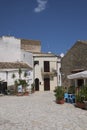 View of Piazza Nettuno