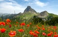 View of Pic du Midi d`Ossau in French Pyrenees, with field of p Royalty Free Stock Photo