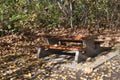 A view of a picnic table covered with fall leaves in a park.  Burnaby BC Canada Royalty Free Stock Photo