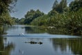 View of a pictoresque canal  in the Danube Delta, Romania Royalty Free Stock Photo