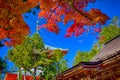 View of Picturesque Danjo Garan Sacred Temple with Line Seasonal Red Maples at Mount Koya in Japan