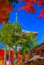 View of Picturesque Danjo Garan Sacred Temple with Line Seasonal Red Maples at Mount Koya in Japan