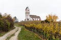 View of a picturesque white country church surrounded by golden vineyard pinot noir grapevine landscape with a gravel country road Royalty Free Stock Photo