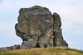 Devil`s rock in Pidkamin, Lviv region, West Ukraine summer landscape