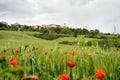 View of Pienza in spring Tuscany landscape