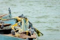 View of pigeons sitting on old rusty boats