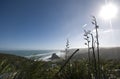 View of Piha Beach Royalty Free Stock Photo