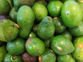 The view of a pile avocado on the box in the market