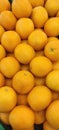 View of pile of oranges being sold in market place, top view of sunkist oranges, yellow round fruits, fresh fruit background Royalty Free Stock Photo