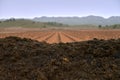 View of a pile of organic waste for composting in a vineyard Royalty Free Stock Photo