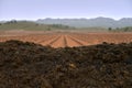 View of a pile of organic waste for composting in a vineyard