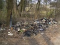 A view of piles of plastic and other waste dumped on the side of the road near the trees. Environmental problems of the Earth