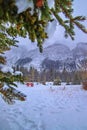 Snow Covered Trees Framing Banff Mountains Royalty Free Stock Photo