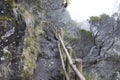 View of Piton de la Fournaise trail