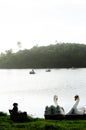 View of the Pituacu park lagoon with tourists using duck-shaped boats. City of Salvador, Bahia