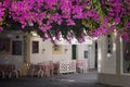 View of a pizzeria place covered with begonville