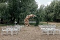 View of the place of wedding ceremony. Naural round arch and chairs for guests. Wedding arch. Wedding ceremony place