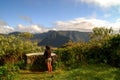 View of Plaine des Palmistes, Ile de la Reunion, France Royalty Free Stock Photo