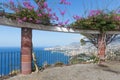 View platform with ornamental flowers and an aerial view at Funchal, Madeira