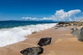 Playa Las Animas in Mexico