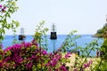 View of pleasure sailing ships from thickets of red flowers Alanya, Turkey