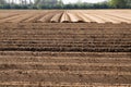 View on plowed tilled cropland with symmetrical vertical and horizontal furrows in Netherlands near Roermond