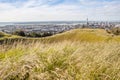 View point of Auckland's Skyline from Mount Eden. Royalty Free Stock Photo