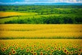 a view point, a field, and a farm at Khao Jeen. Royalty Free Stock Photo